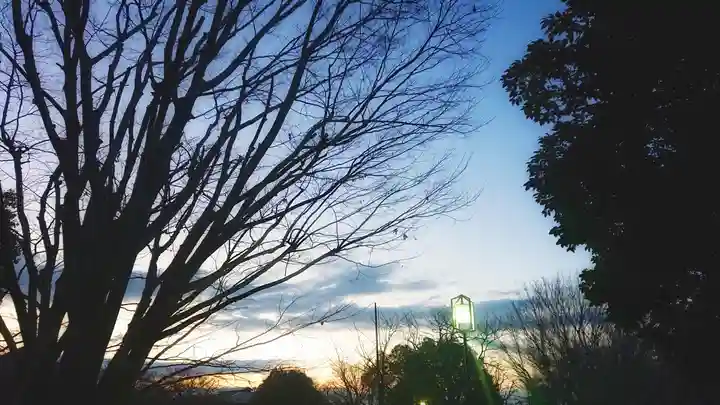 尾張大國霊神社(国府宮)の自然