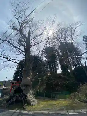 十二神社の自然