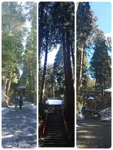 御岩神社の自然