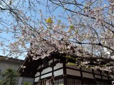 三輪神社(愛知県)