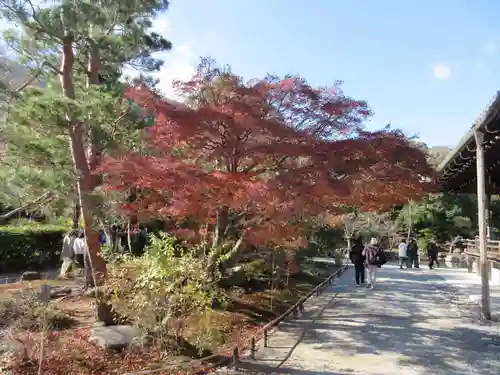 天龍寺(京都府)