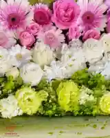 立志神社(滋賀県)