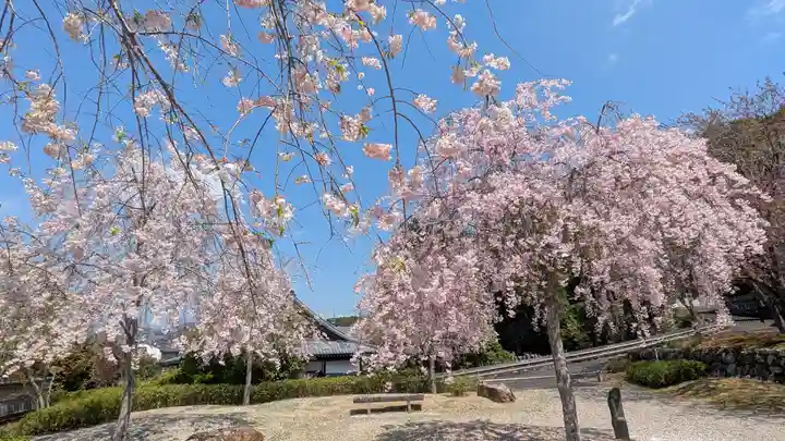 圓光寺(京都府)