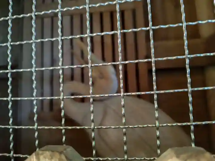 鶴林寺(徳島県)