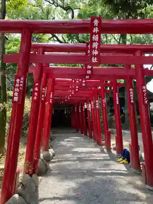 青井阿蘇神社の鳥居