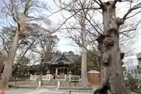 亀岡八幡宮(亀岡八幡神社)(神奈川県)