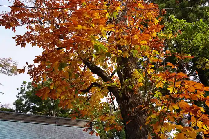 蠶養國神社の自然