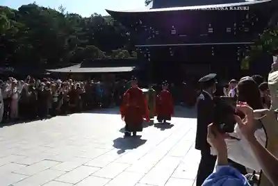 明治神宮(東京都)