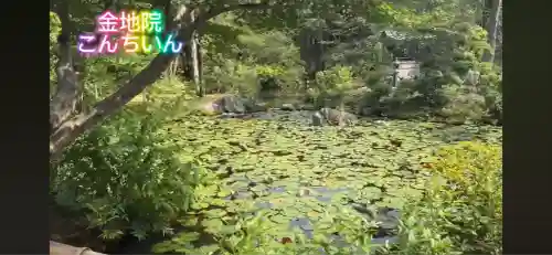 金地院(京都府)