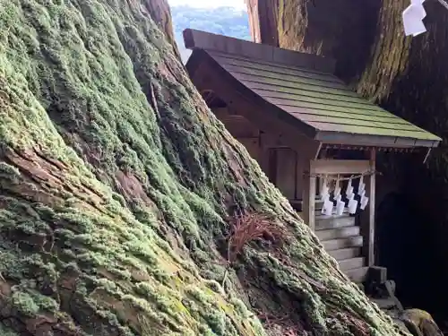 萩日吉神社の自然