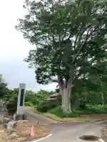 妙覚寺(千葉県)