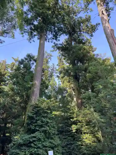 香取神宮(千葉県)