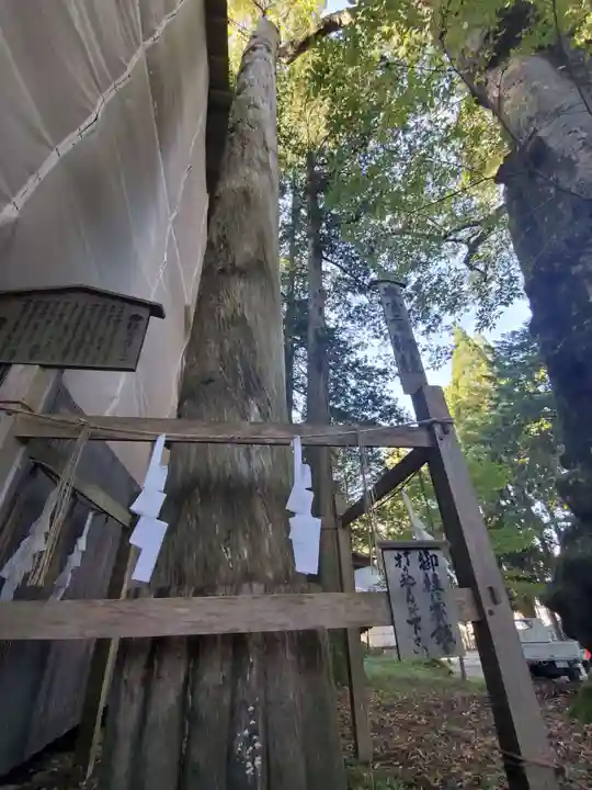 諏訪大社(長野県)