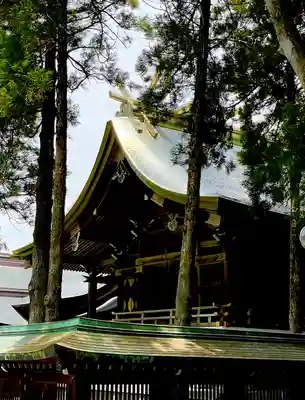 宮地嶽神社の本殿・本堂