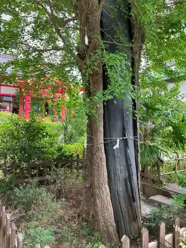 成子天神社(東京都)