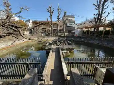 鮫州八幡神社の{uncategorized: "未分類", other: "その他", undefined: "問題あり", building: "その他建物", grave: "お墓", sacred_gate: "鳥居", guardian: "狛犬", statue: "像", buddha: "仏像", history: "歴史", nature: "自然", garden: "庭園", animal: "動物", pagoda: "塔", temizu: "手水舎", mountain_gate: "山門・神門", sanctuary: "本殿・本堂", subordinate: "末社・摂社", art: "芸術", scenery: "景色", jizo: "地蔵", ema: "絵馬", goshuin: "御朱印", omikuji: "おみくじ", items: "授与品その他", amulet: "お守り", goshuincho: "御朱印帳", eats: "食事", festival: "お祭り", votive_dance: "神楽", shichigosan: "七五三参", wedding: "結婚式", experience: "体験その他", initially: "初詣", around: "周辺", anti_infection: "感染症対策"}