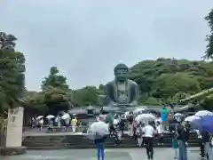 高徳院(神奈川県)