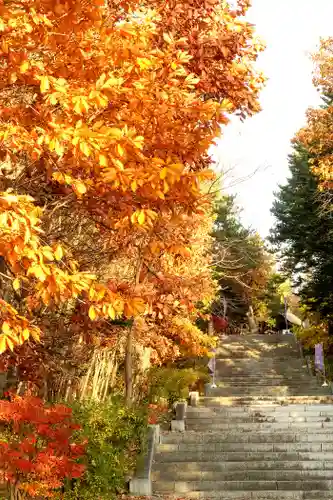 上川神社の自然