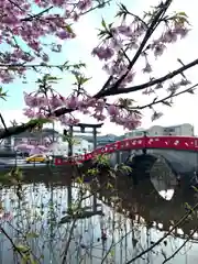 青井阿蘇神社の自然