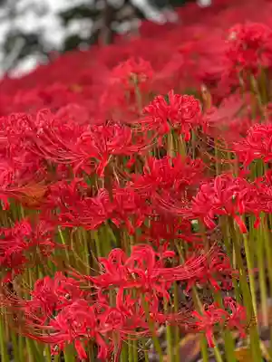 津島神社の周辺