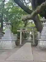宗像神社の鳥居