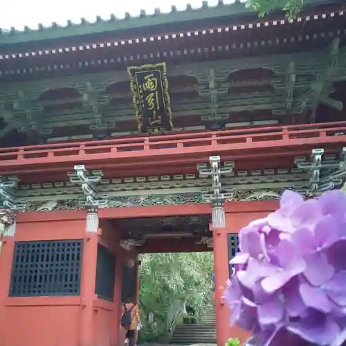 楽法寺（雨引観音）の山門