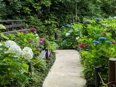 一條殿 新善光寺(京都府)