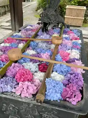 柳谷観音 楊谷寺の手水舎