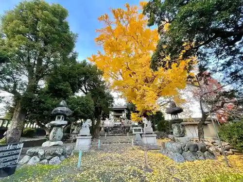 山崎八幡神社(岐阜県)