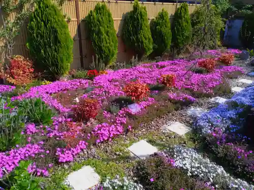 寿量山　速成寺(奈良県)