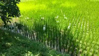 五所駒瀧神社(茨城県)