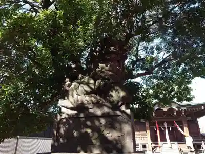 大森貴舩神社(東京都)