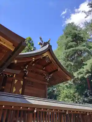 進雄神社(群馬県)