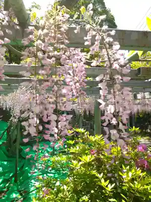 阿智神社(岡山県)