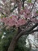 江島神社(神奈川県)