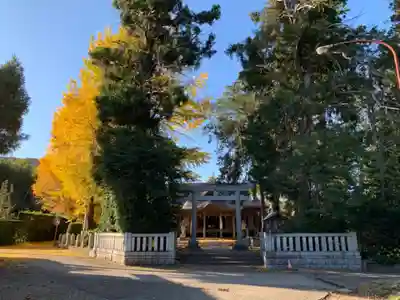 上諏訪神社の鳥居