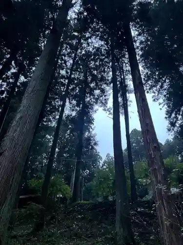 大宮温泉神社(栃木県)