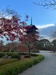 東寺（教王護国寺）の建物その他