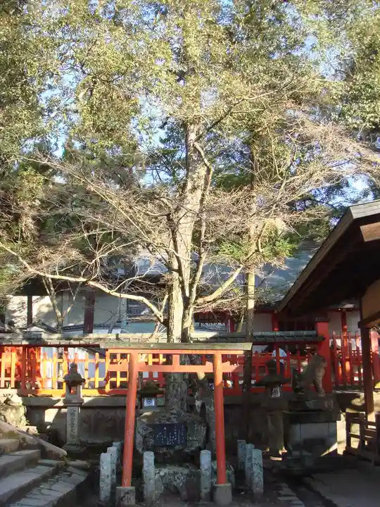 手向山八幡宮の自然