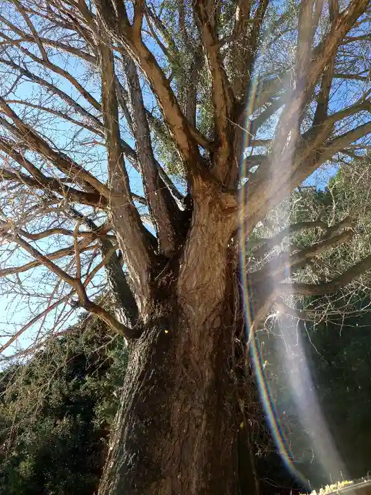 慈徳院(愛知県)