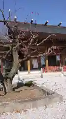 上里菅原神社の本殿