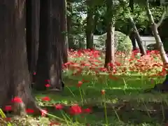 祖光院(千葉県)