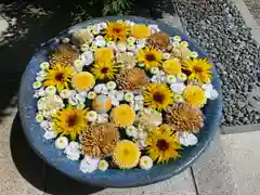 行田八幡神社の手水