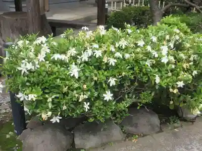 大仙寺(神奈川県)