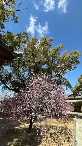 屯倉神社(大阪府)