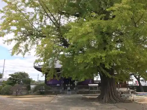 地蔵寺のその他建物