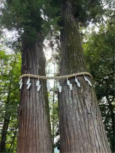 寒川神社(神奈川県)