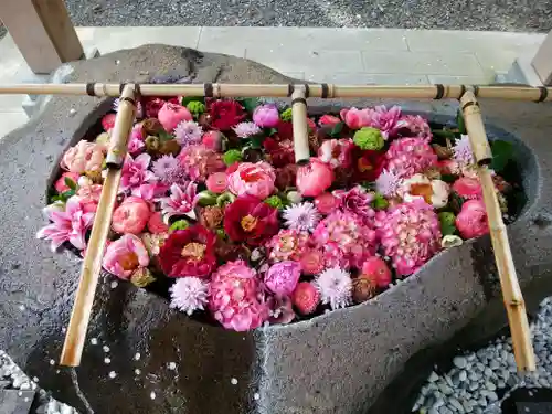 千歳神社の手水