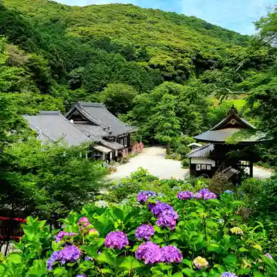 普門寺(切り絵御朱印発祥の寺)(愛知県)