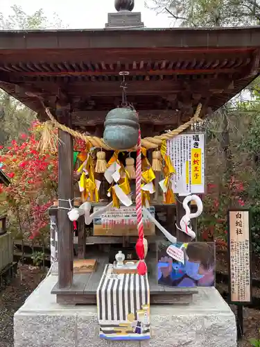 白崎八幡宮(山口県)
